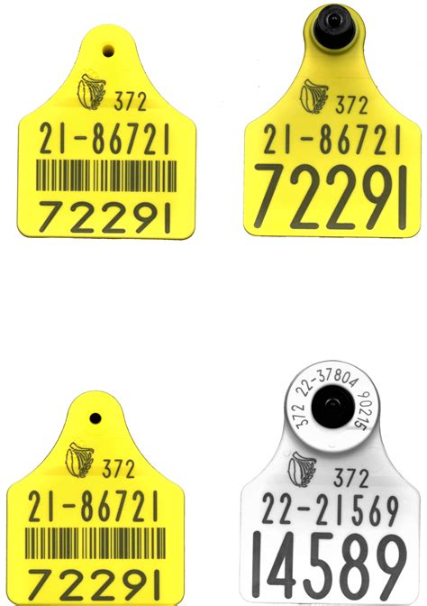 allflex livestock tags